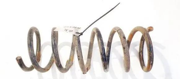 Rear coil spring