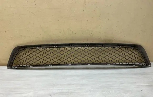 BMW X5 E70 Front bumper lower grill 51117222854