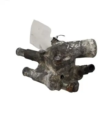 Thermostat/thermostat housing