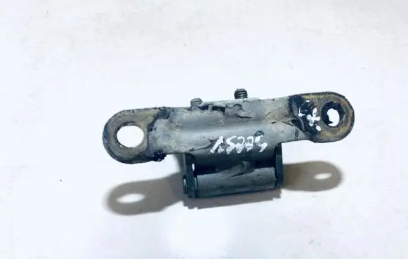Rear door lower hinge