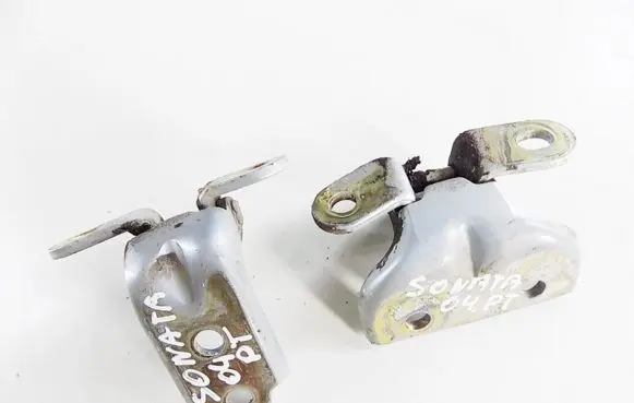 Hyundai Sonata Rear door hinge set 