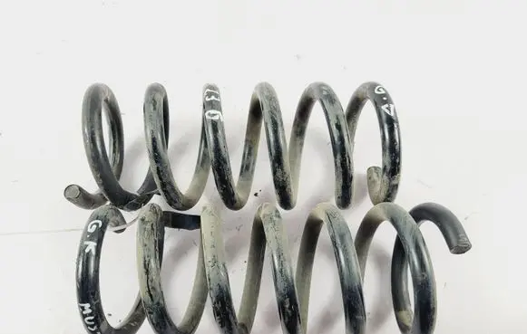 Ford Mustang VI Rear coil spring FR3C5560BC