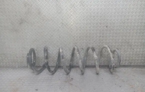 Seat Leon (1M) Rear coil spring