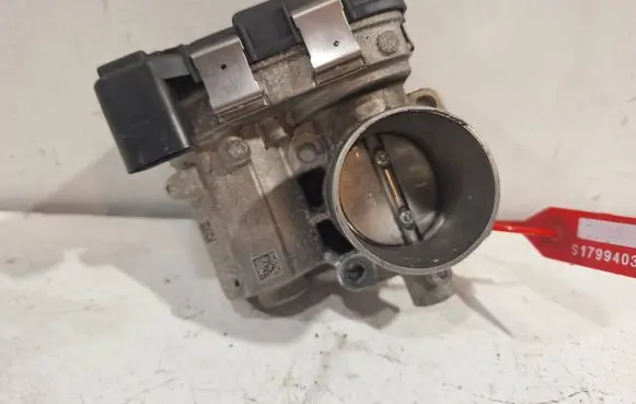 Throttle body valve