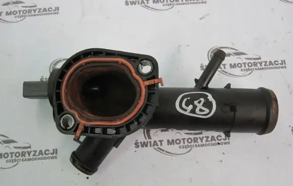 Thermostat/thermostat housing
