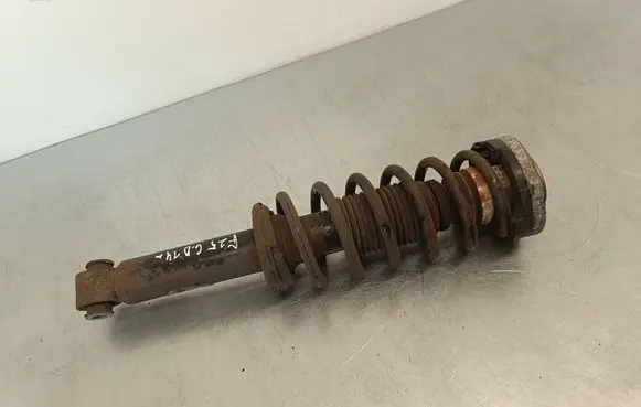 BMW X3 F25 Rear shock absorber with coil spring 