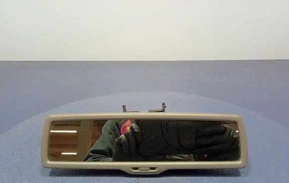 Volkswagen PASSAT B6 Rear view mirror (interior)