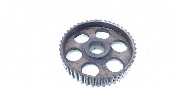 Volkswagen PASSAT B4 Camshaft pulley/ VANOS 069109111