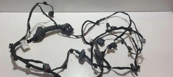 Front door wiring loom