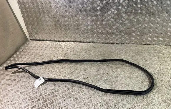 Lexus NX Front door rubber seal