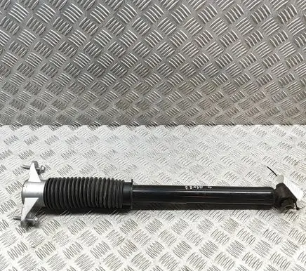 Tesla Model Y Rear shock absorber/damper 218846800C
