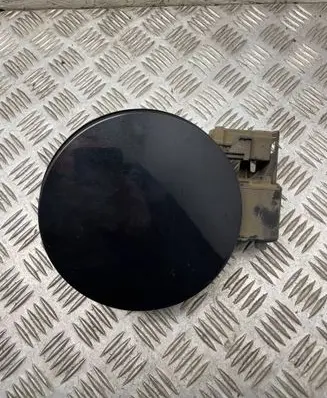 Opel Insignia A Fuel tank cap 13352310