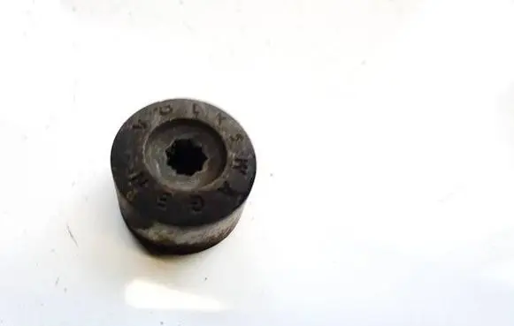 Volkswagen Tiguan Wheel nut cap/cover 1k0601173