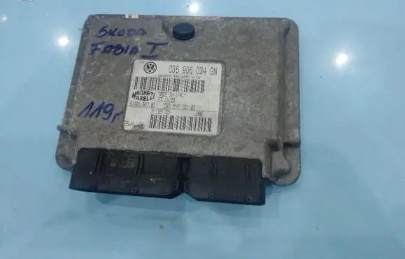 Engine control unit/module ECU