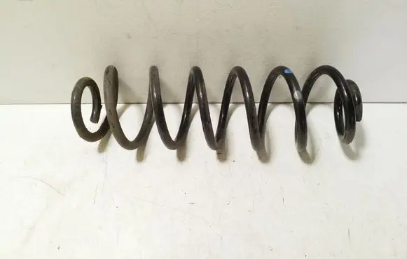Rear coil spring
