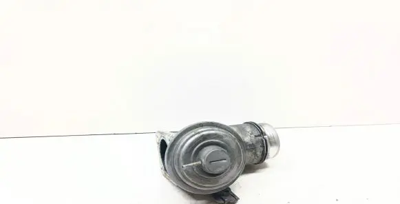 EGR valve