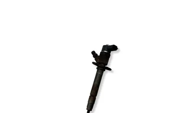 Volvo V70 Fuel injector 0445110078