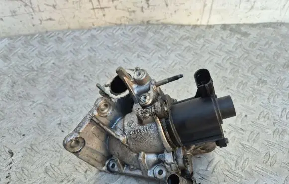 Nissan Qashqai+2 EGR valve H8200836385 8200846454D 70036814