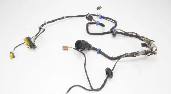 Maserati Quattroporte Other wiring loom DRZWI PRAWY TYŁ