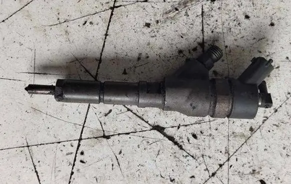 Citroen C5 Fuel injector 0445110062