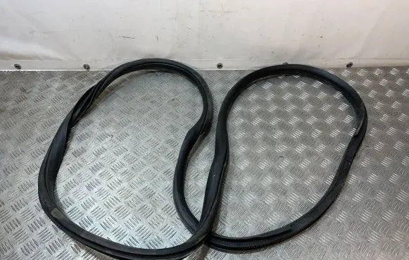 Ford F150 Front door rubber seal