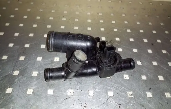 Thermostat/thermostat housing