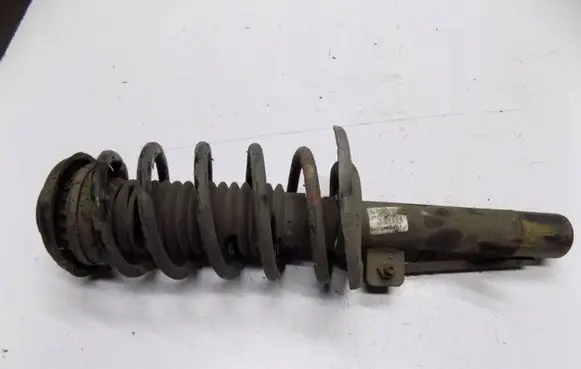 Front shock absorber with coil spring