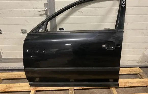 Volkswagen PASSAT B5 Front door 