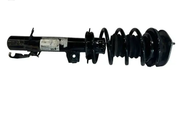 Mini Paceman (R61) Front shock absorber with coil spring 9807010 36547149415 14532410