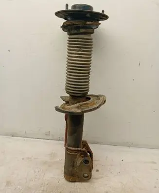 Opel Antara Front shock absorber/damper