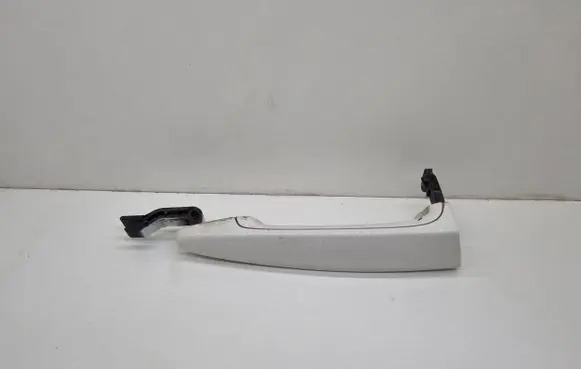 BMW X6 E71 Front door exterior handle 7207694 E9XR21