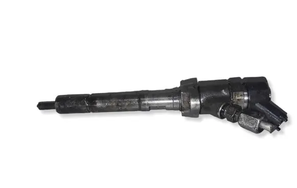 Volvo V50 Fuel injector 0445110259