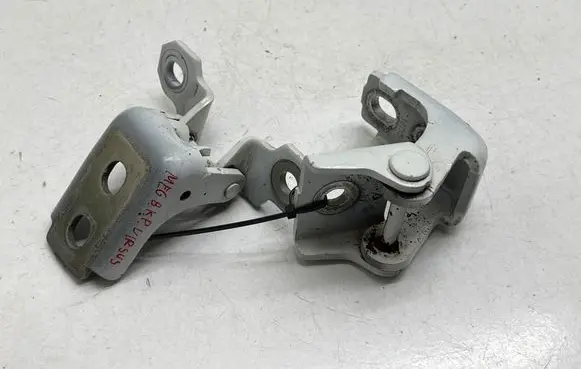 Renault Megane III Front door hinge set 804200003