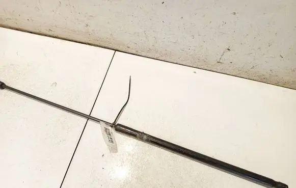 Volkswagen Golf V Tailgate/trunk strut/damper