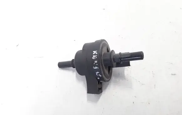Renault Kangoo II Valve 2580119A