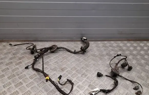 Audi A8 S8 D4 4H Front door wiring loom 4H0971029MQ
