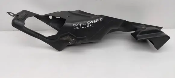 Engine bonnet/hood lock trim molding