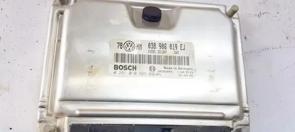 Volkswagen PASSAT B5.5 Engine control unit/module 038906019ej 0281010665