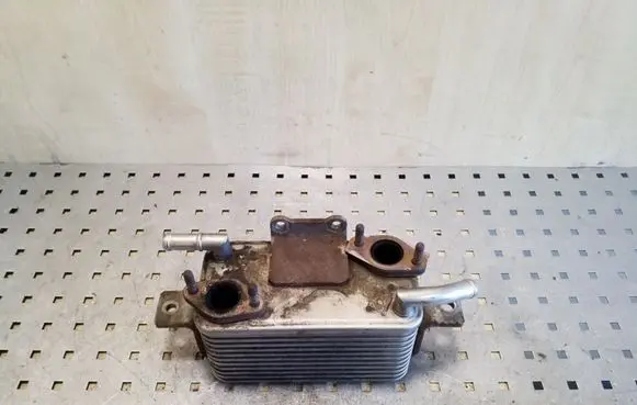 Mitsubishi Pajero EGR valve cooler