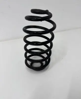Rear coil spring