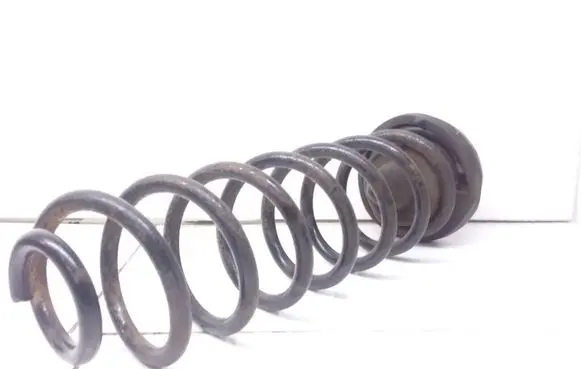Renault Megane II Rear coil spring
