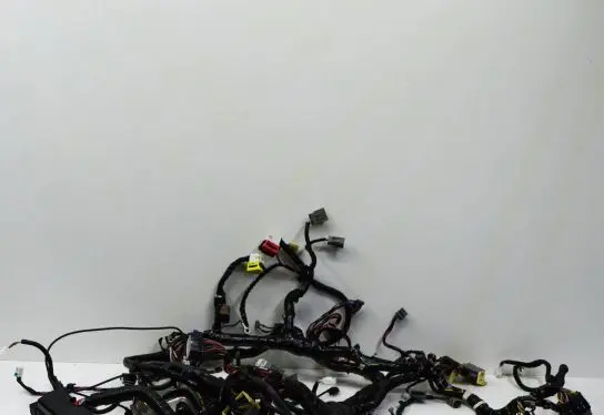 Tesla Model S Other wiring loom 100442303H