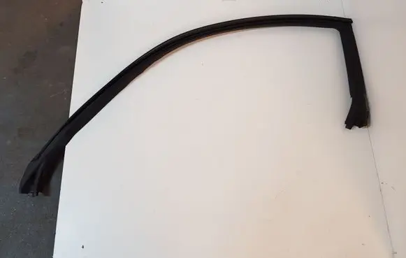 Dodge Challenger Rubber seal front coupe door 04575891AD