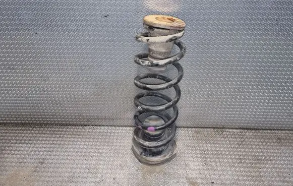 Peugeot Partner Rear coil spring