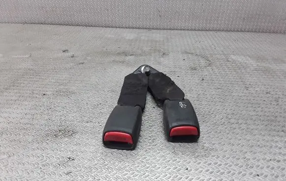 Middle seatbelt buckle (rear)