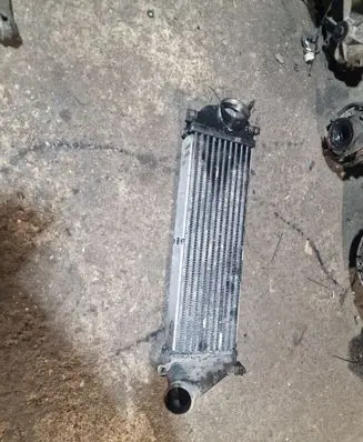 Mercedes-Benz ML W163 Intercooler radiator 1035048