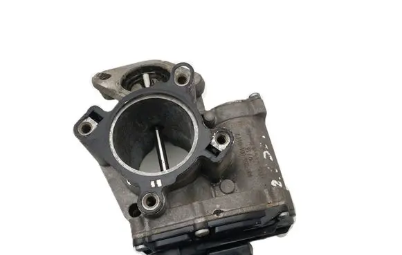 Throttle body valve