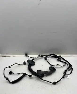 Front door wiring loom