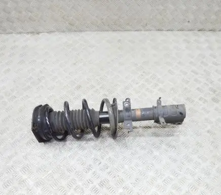 Renault Kangoo II Front shock absorber/damper 543020503R