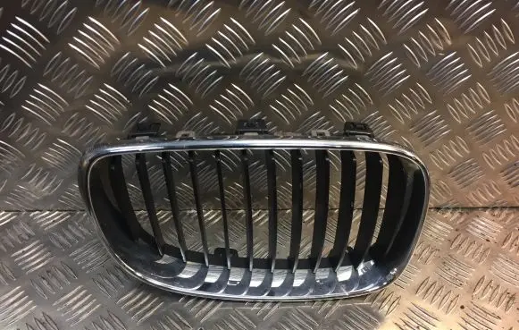 BMW 1 E82 E88 Front grill 7166440